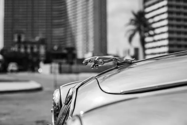 كازينو لوني بينغو تطبيق أندرويد/آي أو إس